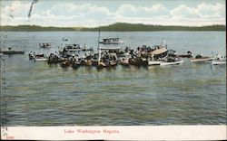 Lake Washington Regatta Postcard