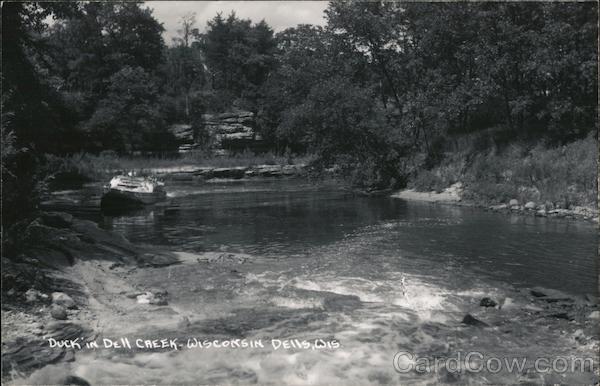 Duck in Dell Creek Wisconsin Dells