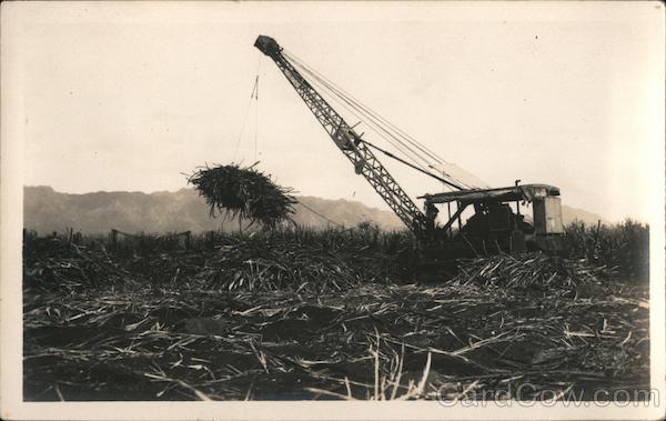 Crane Harvesting Sugar Cane Hawaii