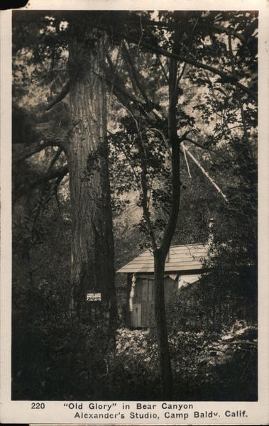 Old Glory in Bear Canyon Camp Baldy California