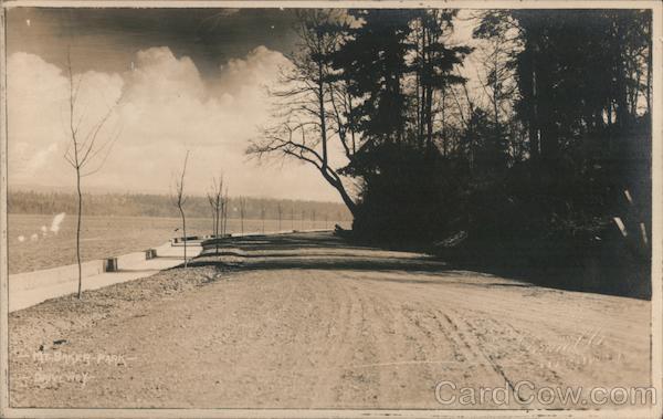 Driveway at Mt. Baker Park Seattle Washington