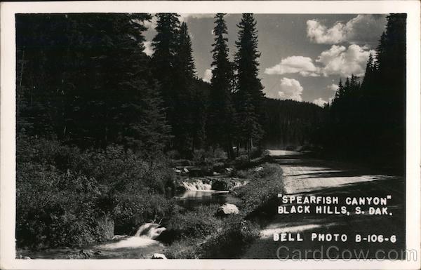 Spearfish Canyon, Black Hills Custer South Dakota Bell Photo