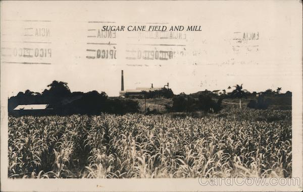 Sugar Cane Field and Mill Havana Cuba