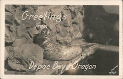 Greetings from Depoe Bay, Oregon Postcard