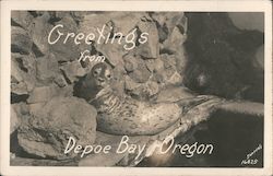 Greetings from Depoe Bay, Oregon Postcard Postcard Postcard