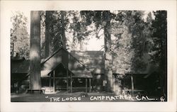 "The Lodge" - Camp Mather Groveland, CA Postcard Postcard Postcard