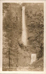 Multnomah Falls Postcard
