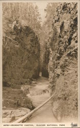 Jeannatte Canyon Glacier National Park Postcard