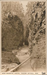 Jeannatte Canyon Glacier National Park Montana Postcard Postcard Postcard