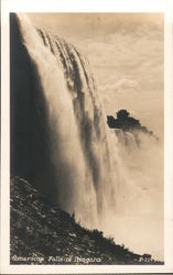 American Falls of Niagara Postcard