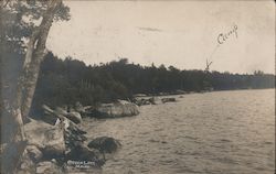 Lake surrounded by forest Postcard