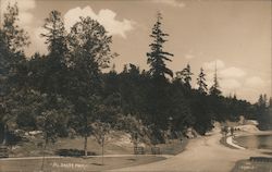 Mt. Baker Park Postcard