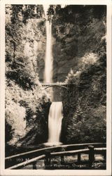 Multnomah Falls, 60 ft. Columbia River Highway Postcard