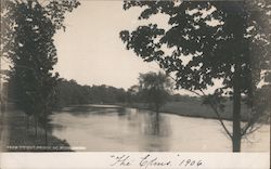 The Elms 1906 From Titicut Bridge Postcard