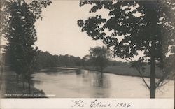 The Elms 1906 From Titicut Bridge North Middleboro, MA Postcard Postcard Postcard