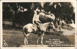 Tex Wheeler's statue of Will Rogers and Soapsuds at Will Roger's ranch Postcard