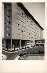 International Zeemanshuis Postcard