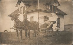 Man in Horse & Buggy Postcard