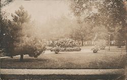 Park Scene Postcard