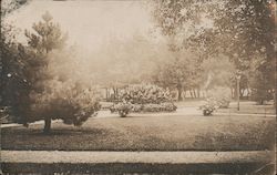 Park Scene Postcard