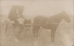 Horse and Buggy with man Postcard