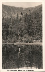 Tuckerman Ravine-Mount Washington Postcard