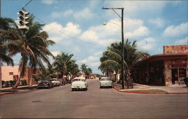 The Beautiful Palm Lined Business Section Naples Florida
