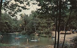 Rip Van Winkle Campground Postcard