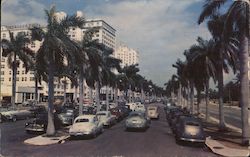 Biscayne Boulevard Postcard