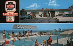 Palm Crest Motel-Apts St. Petersburg, FL Postcard Postcard Postcard