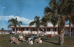 Ibis Motel Clearwater, FL Postcard Postcard Postcard