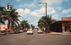 The Beautiful Palm Lined Business Section Postcard