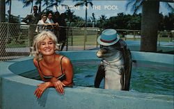 Woman with Dolphin - Seaquarium Miami, FL Postcard Postcard Postcard