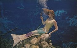 A pretty and talented Weeki Wachee mermaid checks her hairdo before descending 117 feet into Florida's Underwater Grand Canyon P Postcard