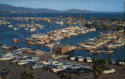 Overlooking the Yacht Harbor Postcard