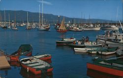 Santa Barbara Harbor Postcard