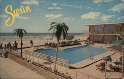 Swan Motel Postcard