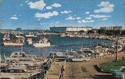 Burnham Park Yacht Harbor showing McCormick Place, showing world's largest convention center Postcard