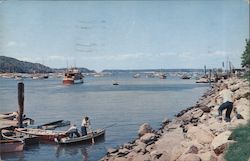 Yachting Paradise Postcard