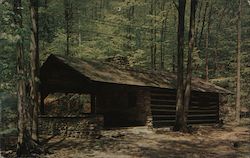 Log Cabin, Worlds End State Park Forksville, PA Postcard Postcard Postcard