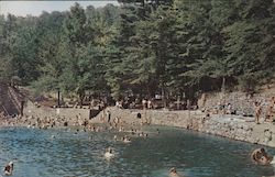 Swimming at World's End State Park Postcard