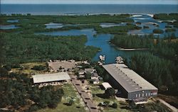 Wiggins Pass Marina Postcard
