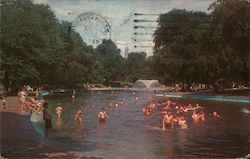 Frog Pond, Boston Common Postcard