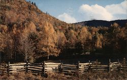 Early Fall Asheville, NC Postcard Postcard Postcard