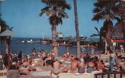 Beach Near Pleasure Pier on Catalina Island Postcard