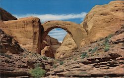 Rainbow Natural Bridge Rainbow Bridge National Monument, UT Postcard Postcard Postcard