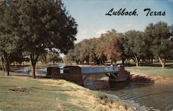 Scene in MacKenzie State Park Lubbock, TX Postcard Postcard Postcard