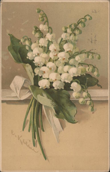 Lily of the Valley C. Klein Flowers