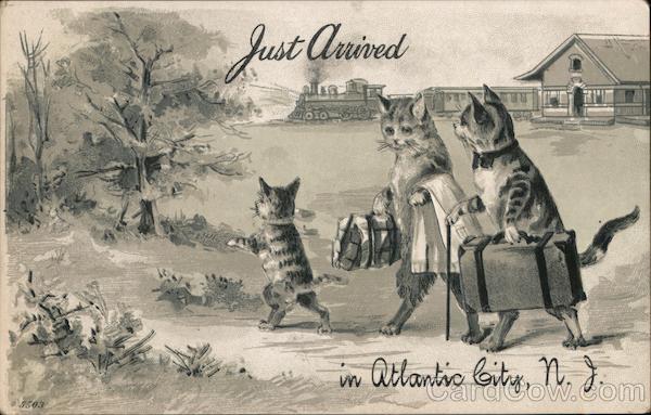 Just arrived in Atlantic City, N.J. Cats