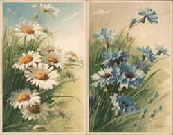 Set of 2 Klein Flowers Postcard